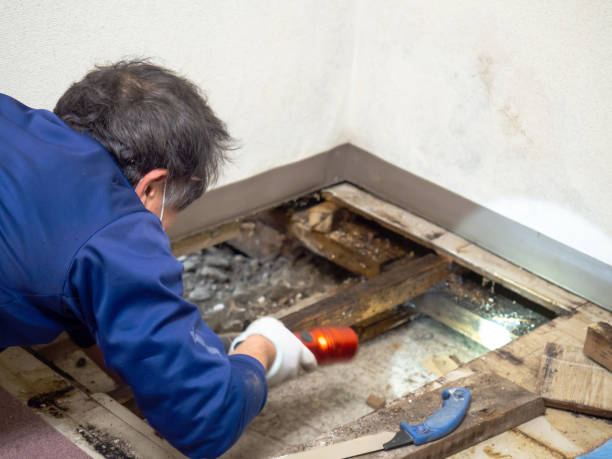 Best Water Damage Restoration  in Huron, CA