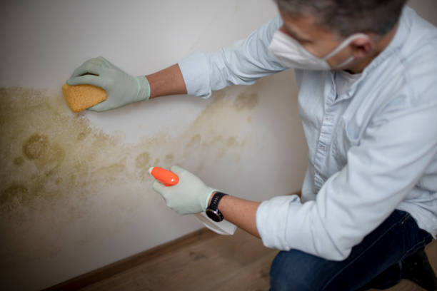 Best Crawl Space Mold Removal  in Huron, CA